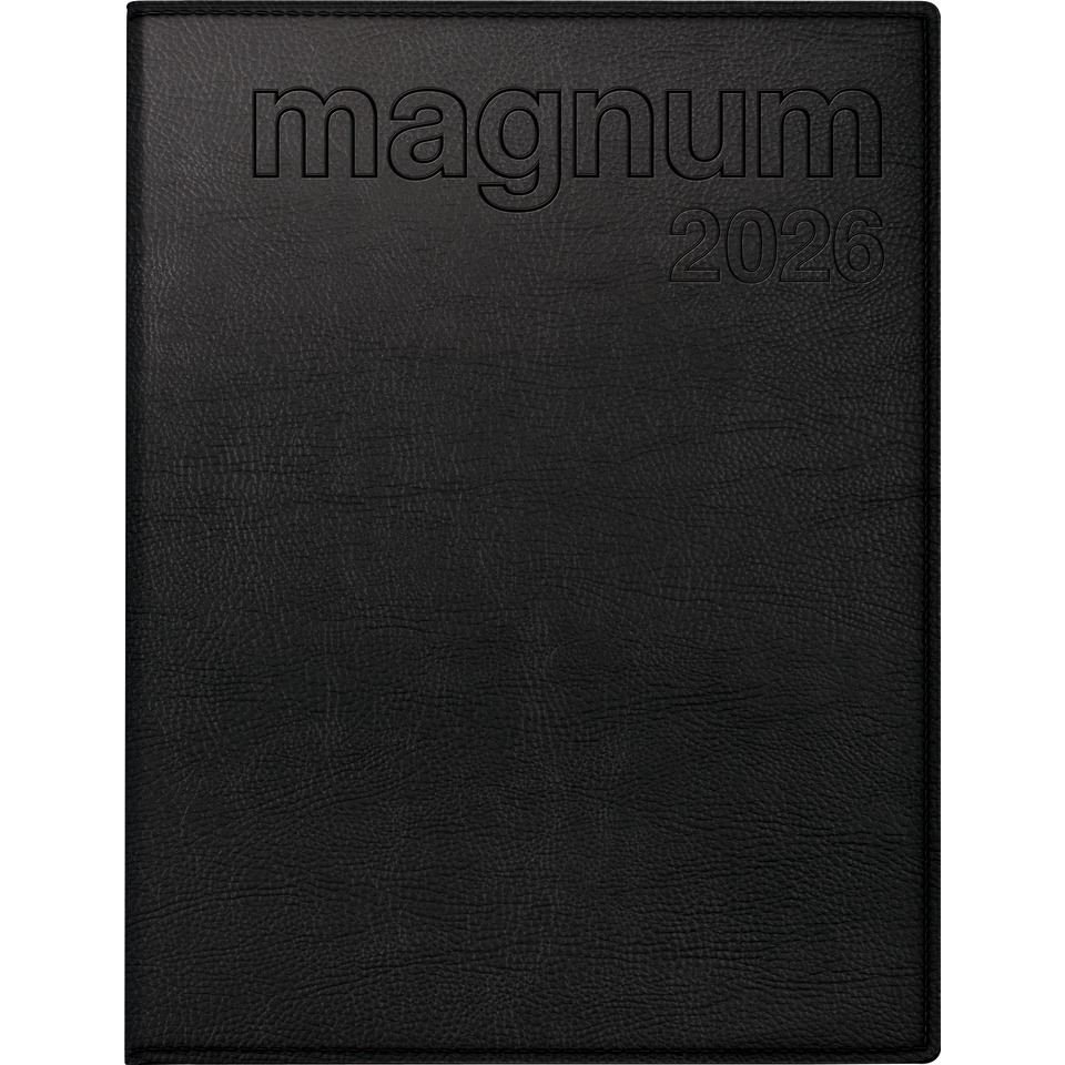 Buch, Veröffentlichung