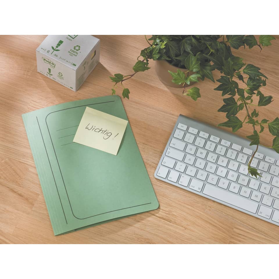 notizbuch, ordner, grün, tastatur, pflanze