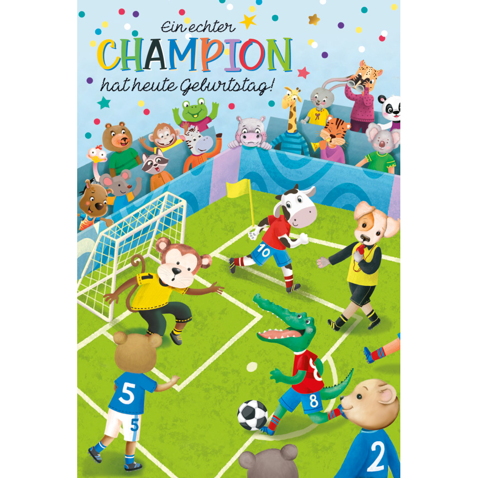 Kinderbuch, Tierfiguren, Fußballfeld, Fußball, Chloris