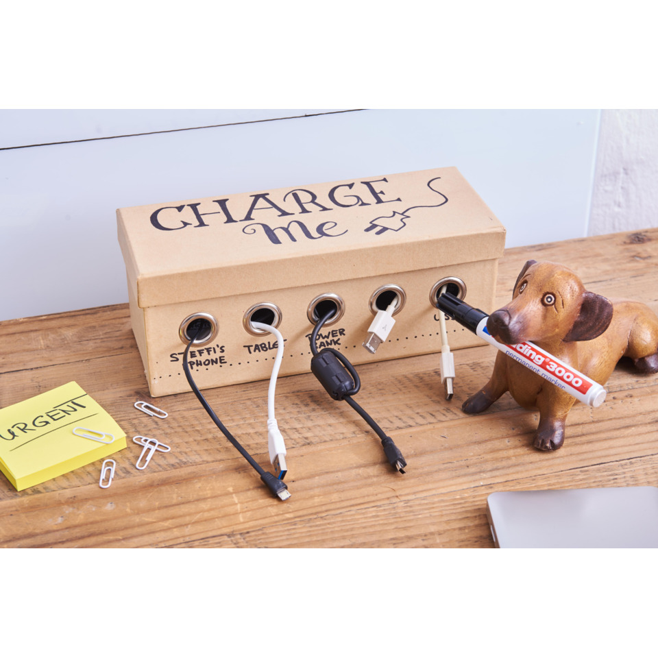Ladebox, Kabelsalat, USB-Kabel, Steckdosenloch, Haustierfigur