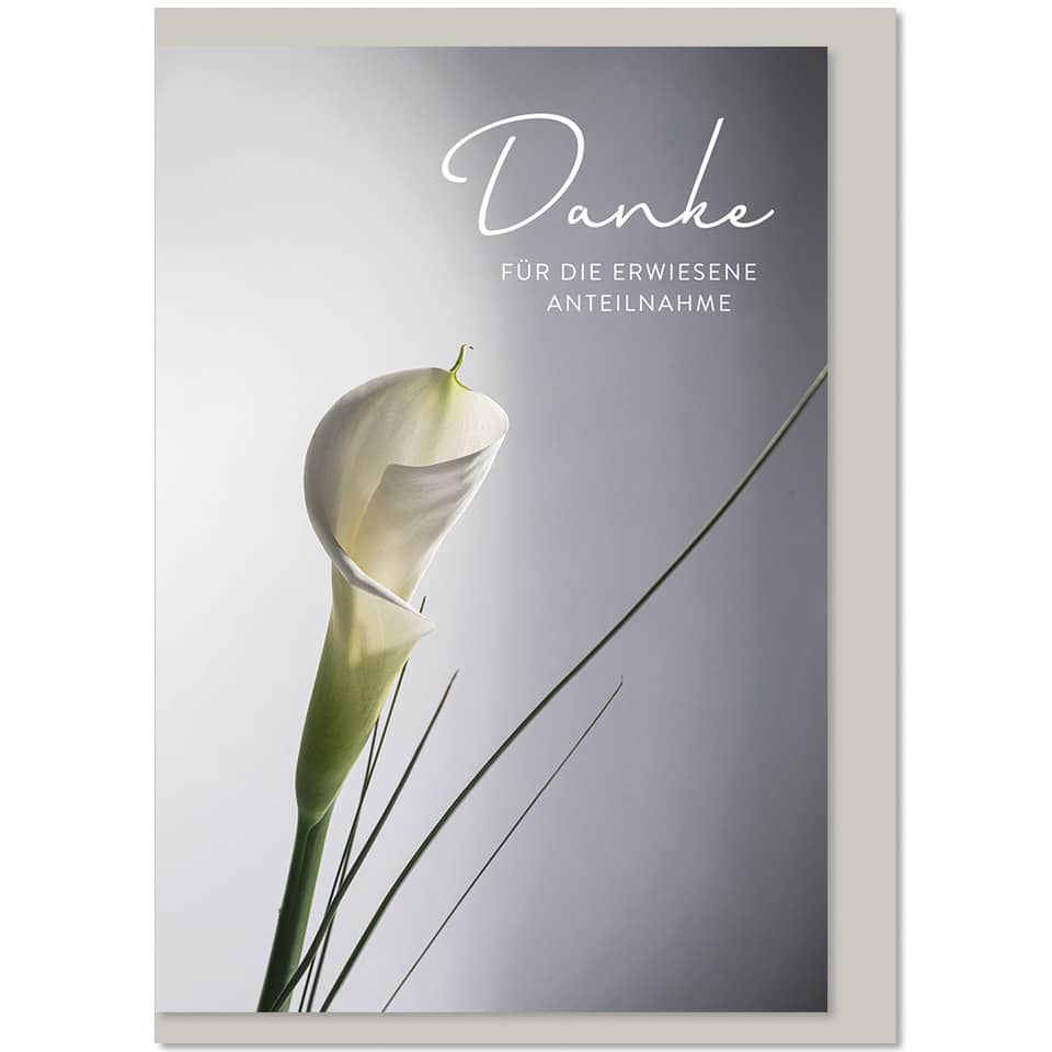Blumenbild, Calla-Lilie, Danksagungskarte, Weiß, Blattgrün