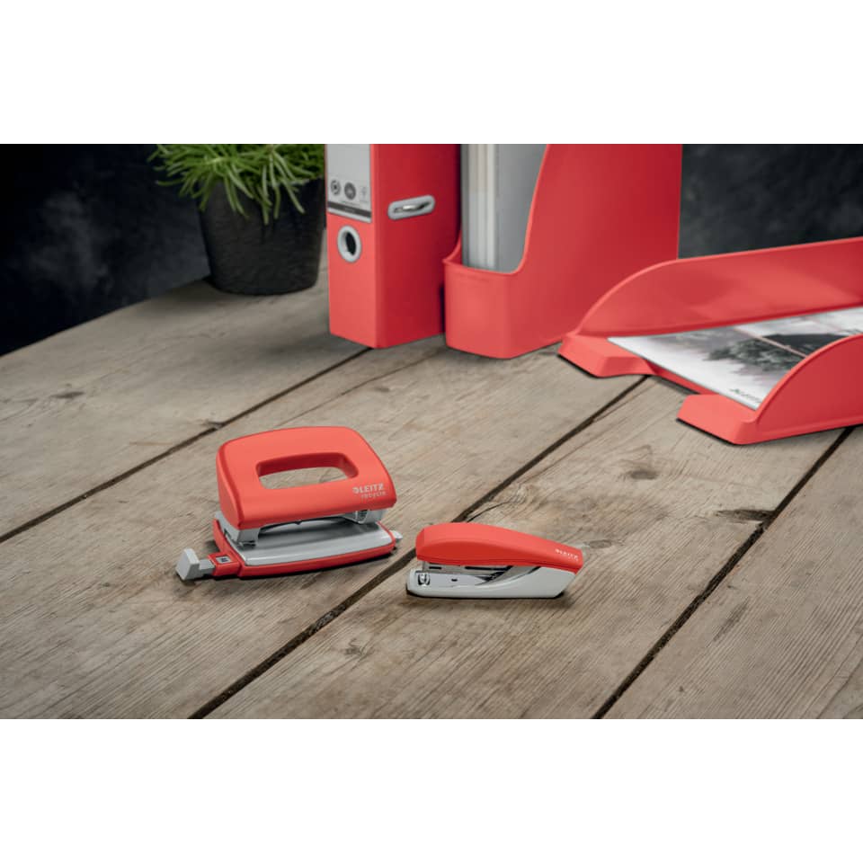 Drinnen, Innenarchitektur, Pflanze