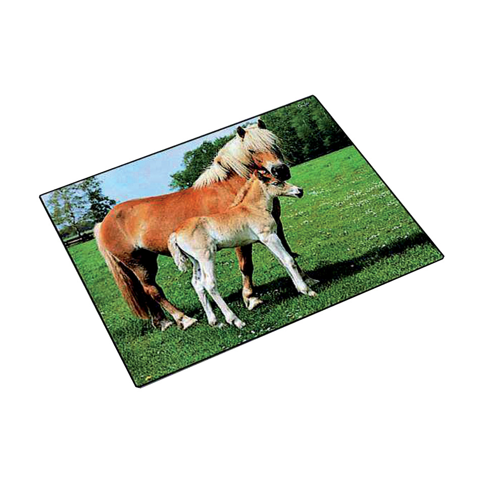 Pferd, Pony, Landschaft, Grasland, Tierart