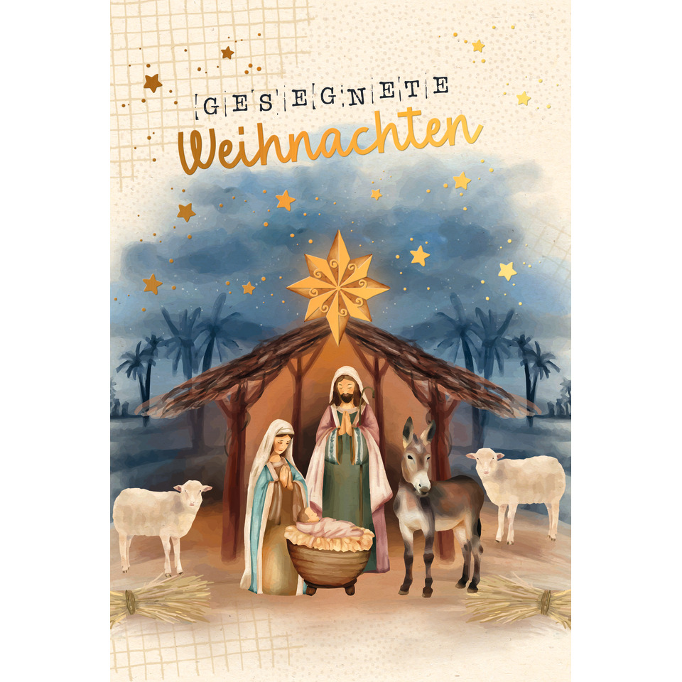 Erwachsener, Weiblich, Person, Frau, Schaf, Person, Erwachsener, Weiblich, Frau, Kuh