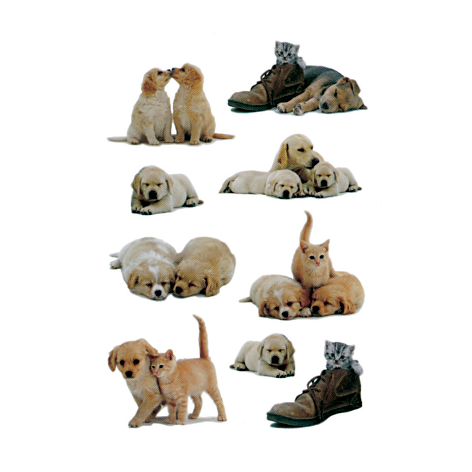 Welpe, Hund, Tierbaby, Labrador/Retriever?, Hundewelpen