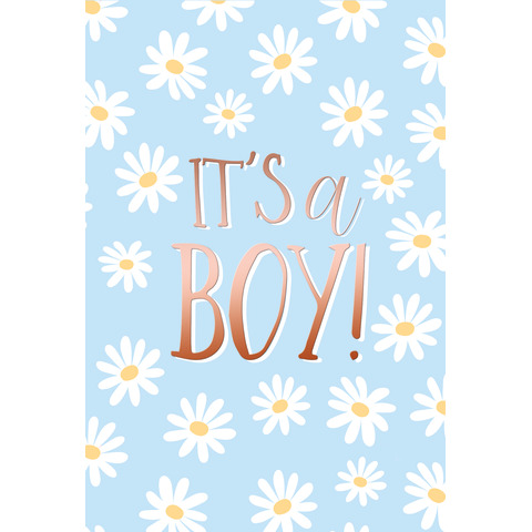 Geburtskarte Its a Boy, blau SKORPION 31-1909