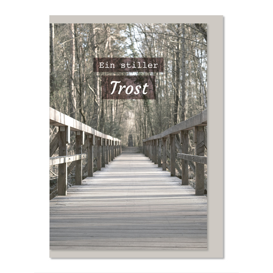 Holzbrücke, Pfad, Waldweg, Deck, Sichtbar