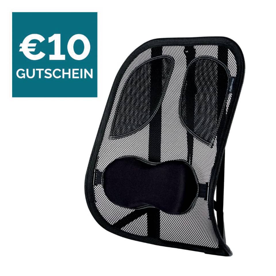 Rückenlehnenkissen, Nackenkissen, Mesh-Rückenstütze, Ergonomische Rückenstütze, Schultergurte