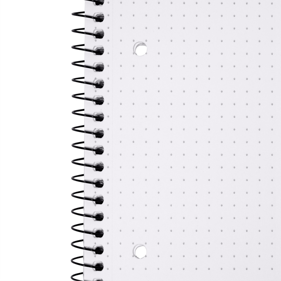 spiral notebook, dot grid, holes, wire bound, paper