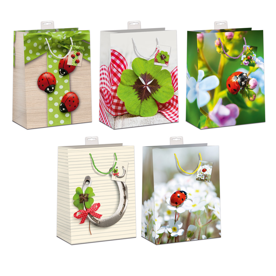 Tier, Insekt, Wirbellose