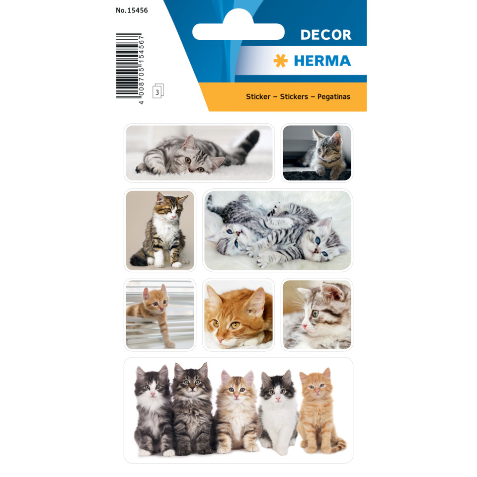Katzen, Katzenbild, Tieraufkleber, Sticker, Dekor