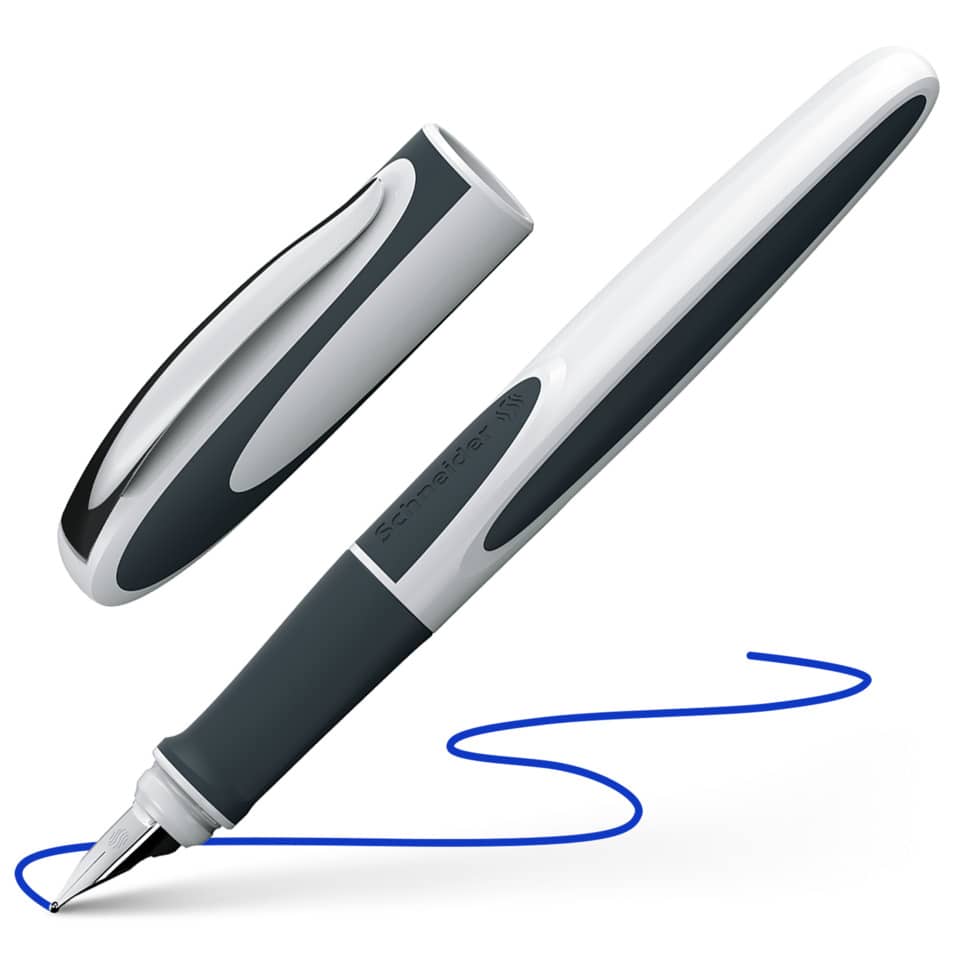 Fountain pen, Ink pen, Metal body, Metallic, Blue ink