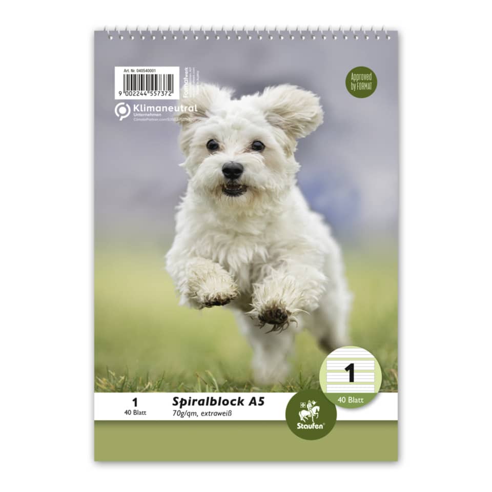 Hund, Spielende Hunde, Kamera-Notizblock, Spiralblock, Notizbuch, Tier, weißer Hund, Frisierter Hund, Outdoor, Gras