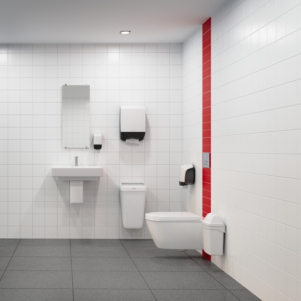 toilet, Badezimmer, wandmontiert, Waschbecken, verkleidet