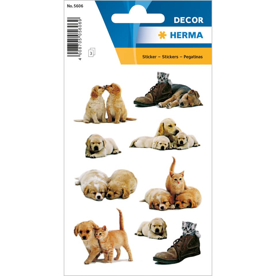 hündchen, hund, kleinwelpe, katze, schuh