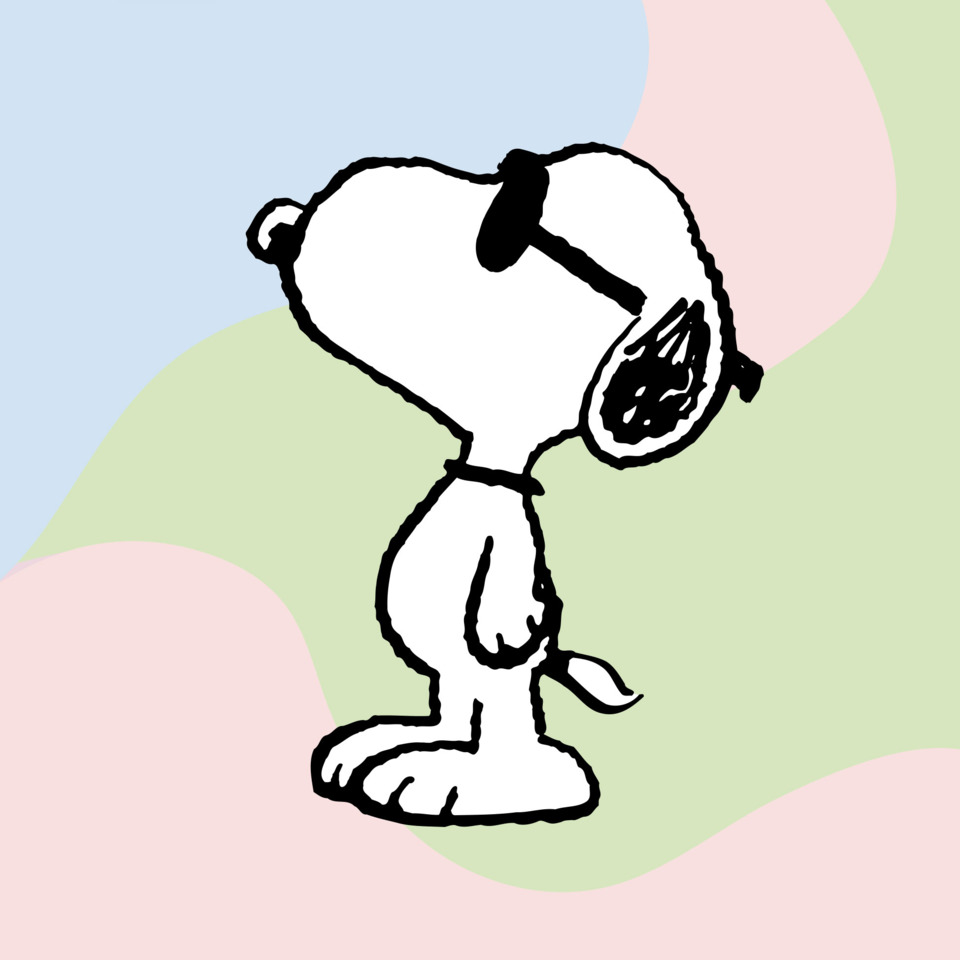 Hundeschädel?, Snoopy, Comicfigur, Snoopy-Illustration, Charakterfigur