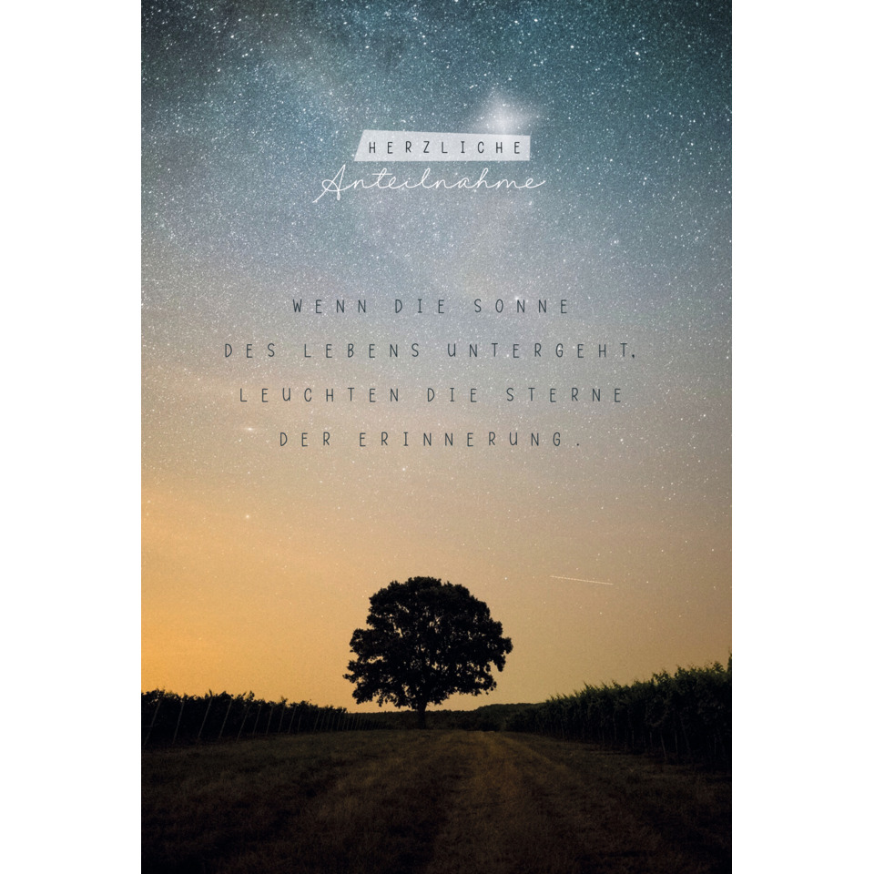 Nacht Himmel, Sternenhimmel, Silhouette Baum, Landschaft, Zitat