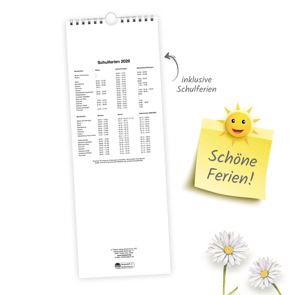 Seite, Text, Gänseblümchen, Blume, Pflanze, Seite, Text, Gänseblümchen, Blume, Pflanze