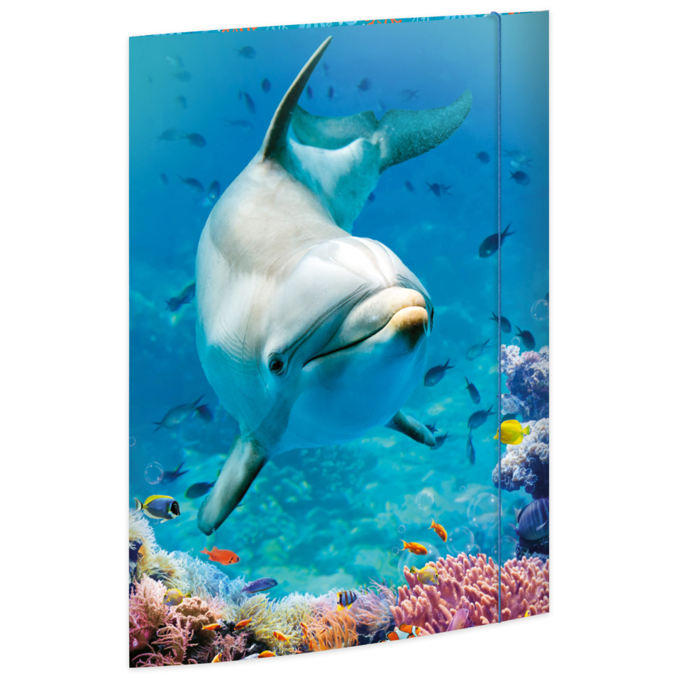 Druckbild, Unterwasserwelt, Delphin, Korallenriff, Meerestier
