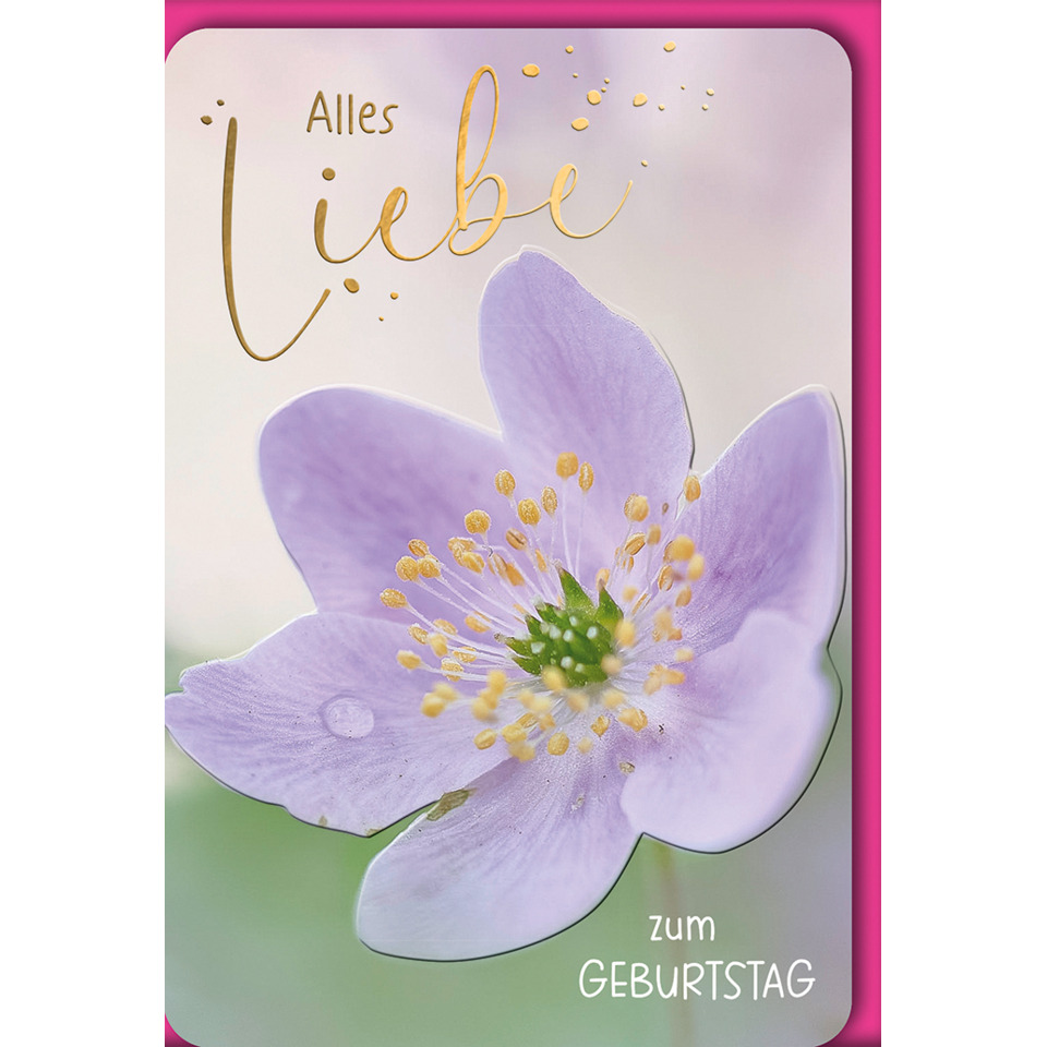 Blume, Jasminblume, Lavendelblau, Blüte, Geburtstag