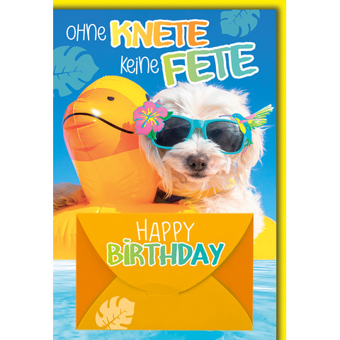 Sonnenbrille, Werbung, Plakat, Brillen, Hund