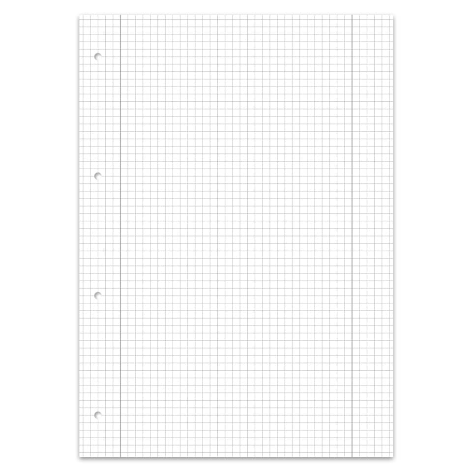Graphpapier, Gitternetzpapier, Notebookenseite, Lochung, Helles Weiß