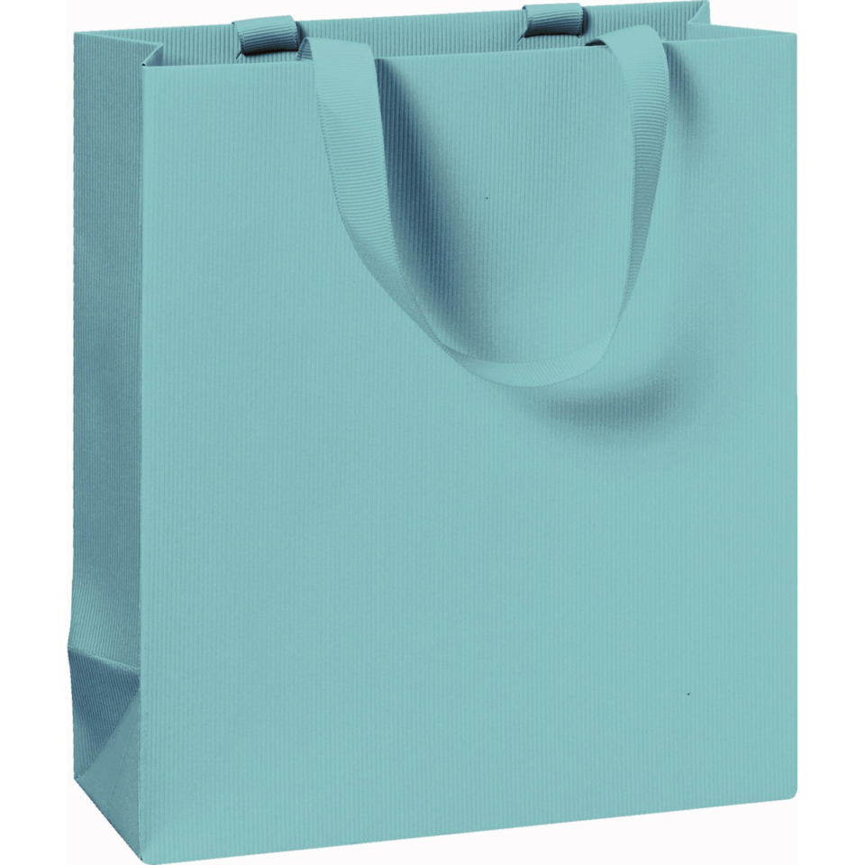 Geschenktragetasche One Colour, 21x18x8cm, hellblau STEWO 2543783496