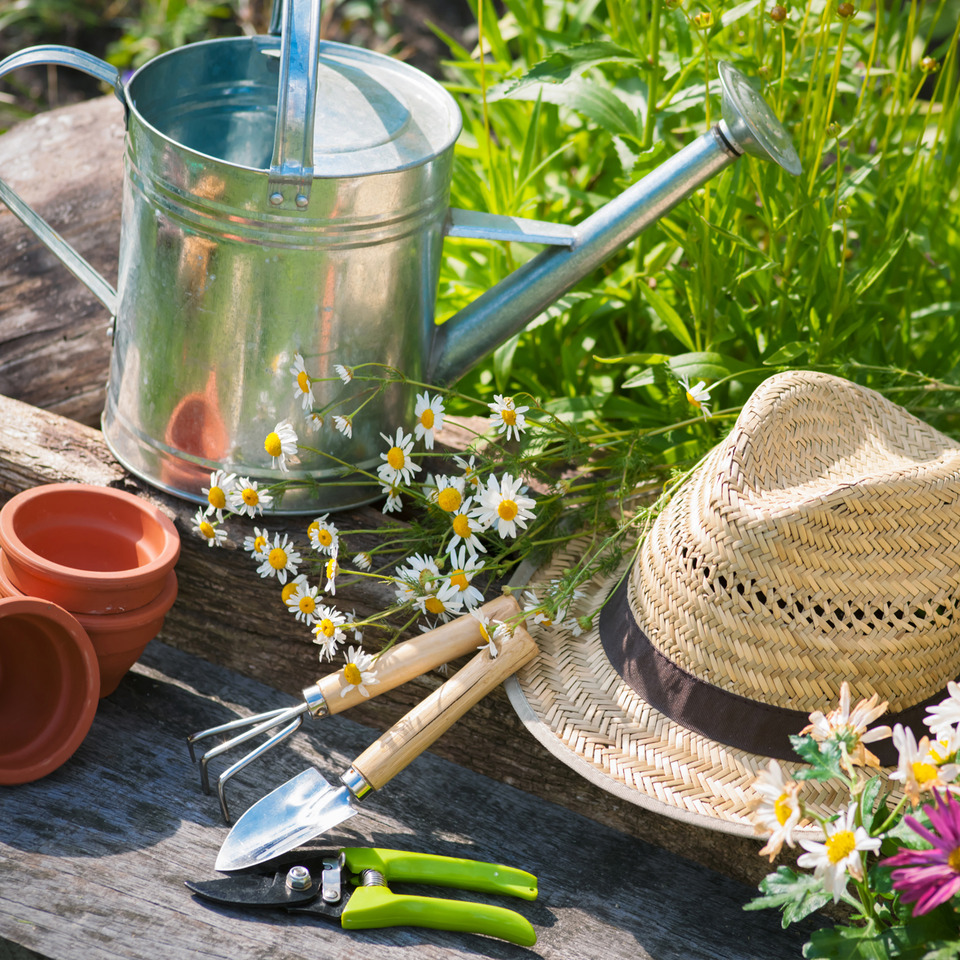 Garten, Natur, Im Freien, Zinn, Gartenarbeit, Garten, Natur, Im Freien, Zinn, Gartenarbeit