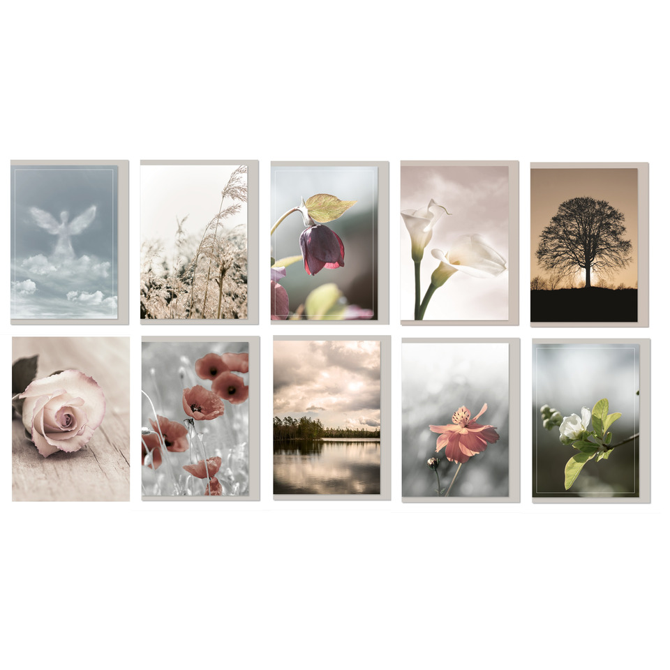 Kunst, Collage, Blume, Rose, Blütenblatt, Kunst, Collage, Blume, Rose, Blütenblatt