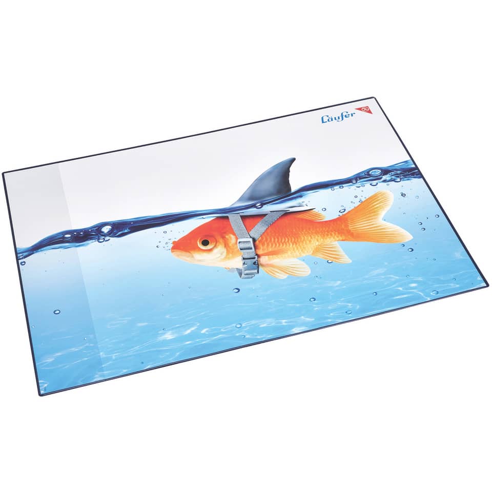 Tier, Fische, Leben im Meer