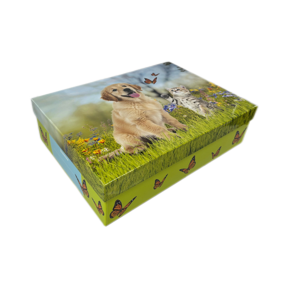 Hund, Golden Retriever, Box, Gras, Schmetterlinge