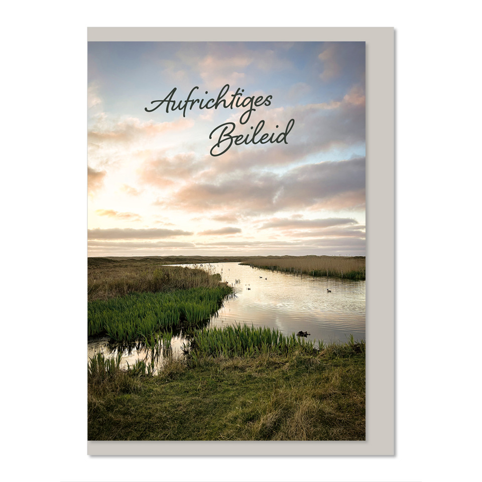 landschaft, feuchtgebiet, wasser, schilf, himmel