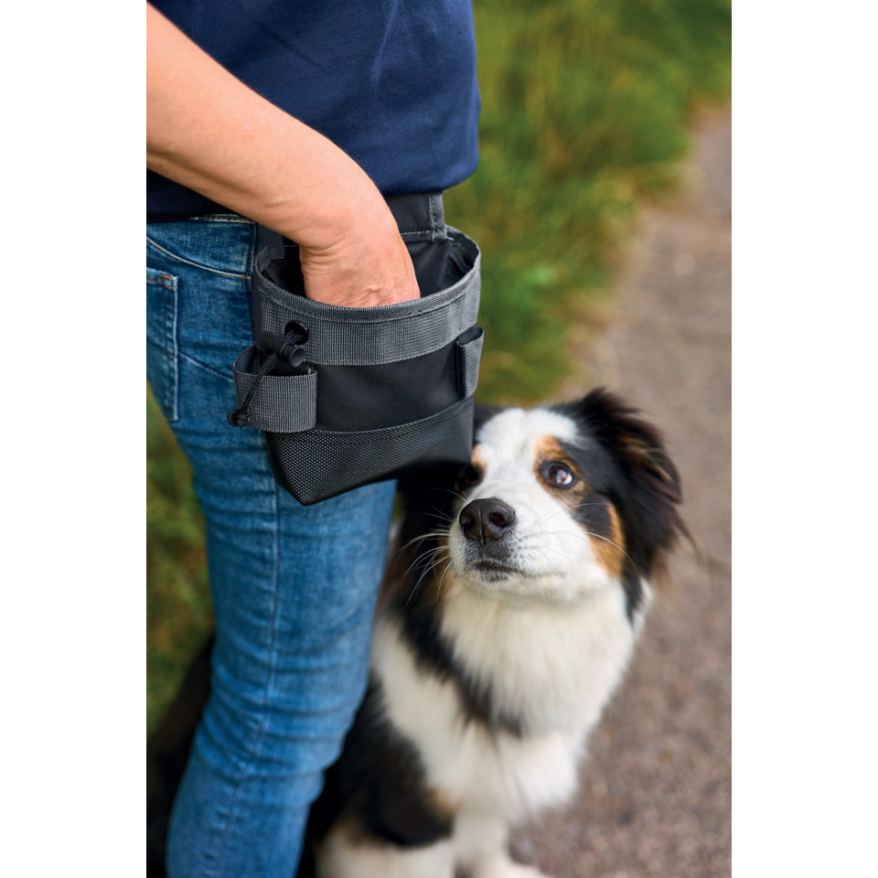 Hund, Tier, Hundehalter, Gurtetui, Beutel