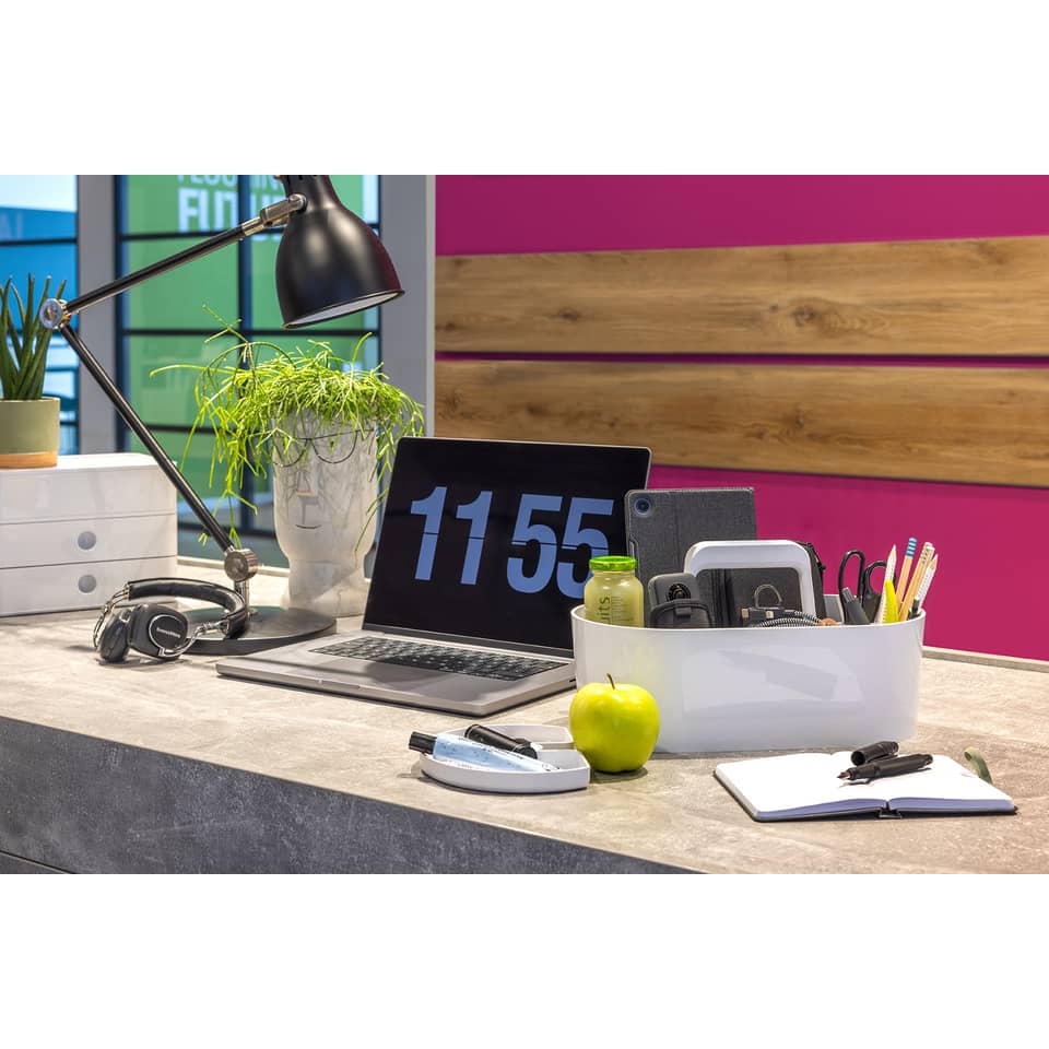 Tabelle, Innenarchitektur, Schreibtisch, Topfpflanze, Laptop