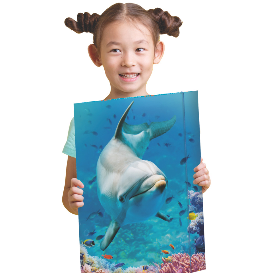 Kind, Unterwasserbild, Delfin, Poster, Kinderbuch