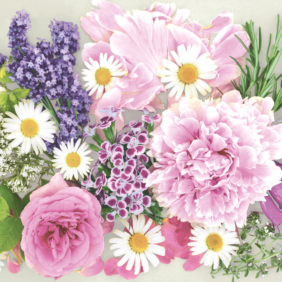 Blumenstrauß, Botanische Arrangement, Pfingstrose, Gänseblümchen, Lavendel