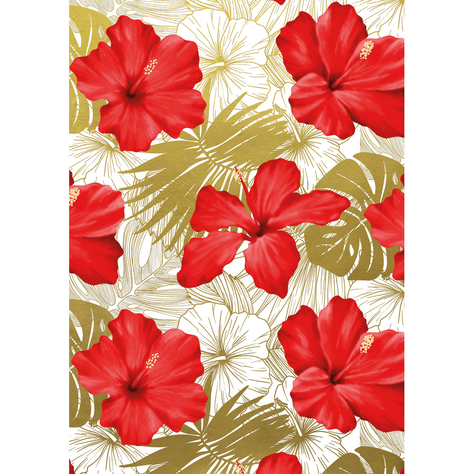 Blume, Pflanze, Hibiskus, Blume, Pflanze, Hibiskus, Blütenblatt