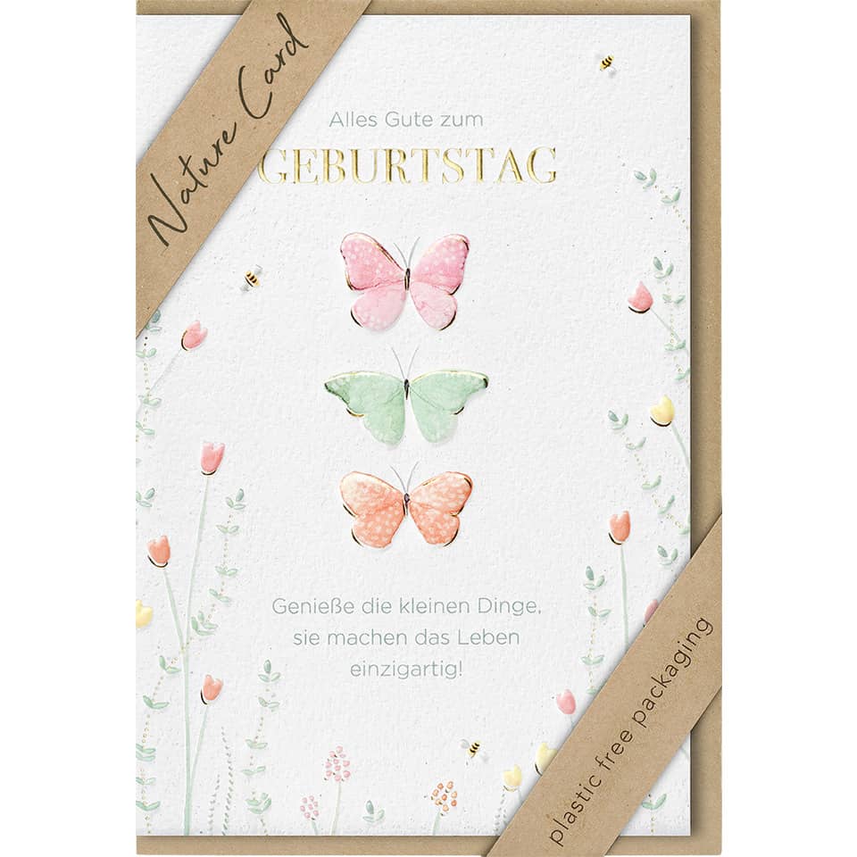 Geburtstagskarte, Schmetterlinge, Pastellfarben, Blumenrand, Öko-Verpackung