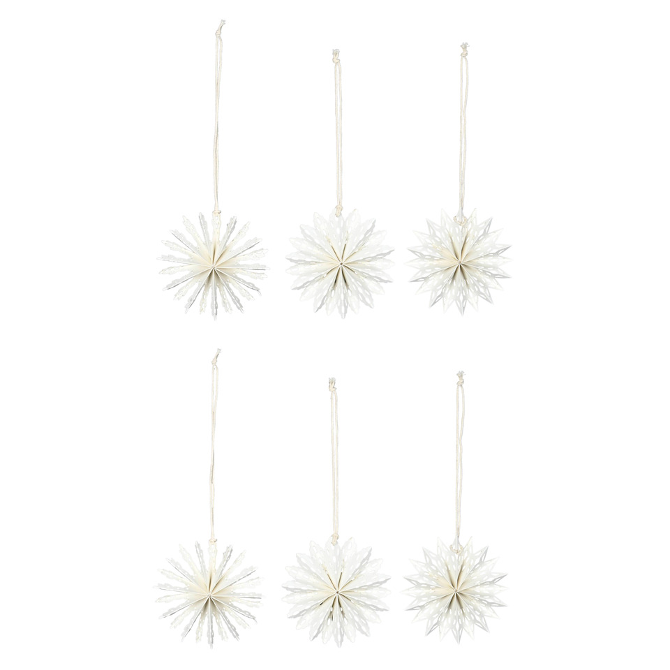 Blume, Pflanze, Zubehör, Ohrring, Schmuck, Blume, Pflanze, Zubehör, Ohrring, Schmuck, Zubehor, Ohrring, Schmuck, Blume, Pflanze