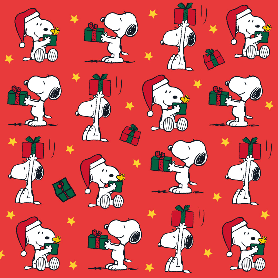Snoopy, Weihnachtsgeschenk, Geschenkverpackung, Santa Hat, Snoopy Muster