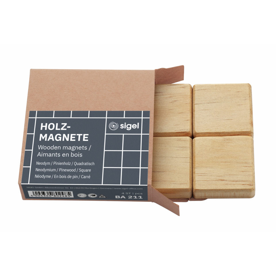 Holzmagnet, Holz, Magnetset, Pinselkraft, Baumann