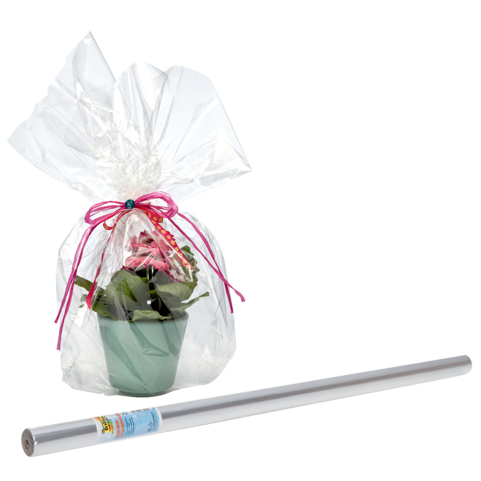 pflanze, Topfpflanze, Blumentopf, transparente Verpackung, Geschenkverpackung