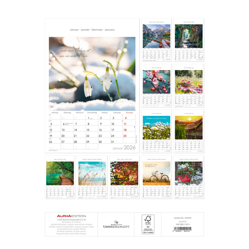 Text, Kalender, Seite, Fahrrad, Fahrzeug