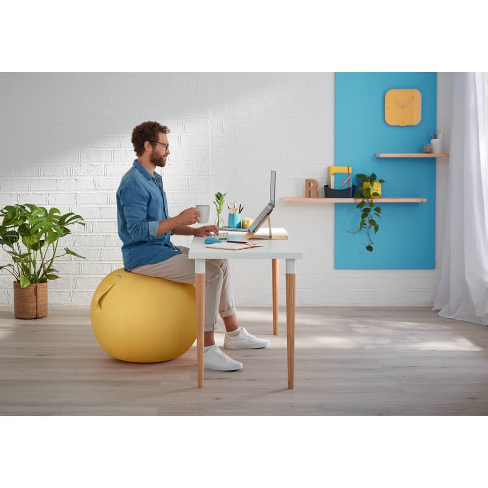 home office, Sitzballalternative, Übungsball, weißer Schreibtisch, Topfpflanze