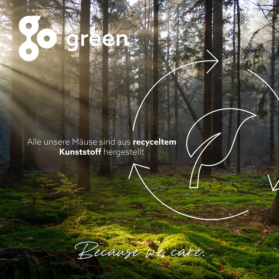 Pflanzenwuchs, Hain, Land, Wald, Sonnenlicht