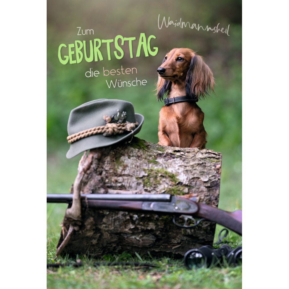 Hund, Dackel, Hut, Holzstamm, Schusswaffe