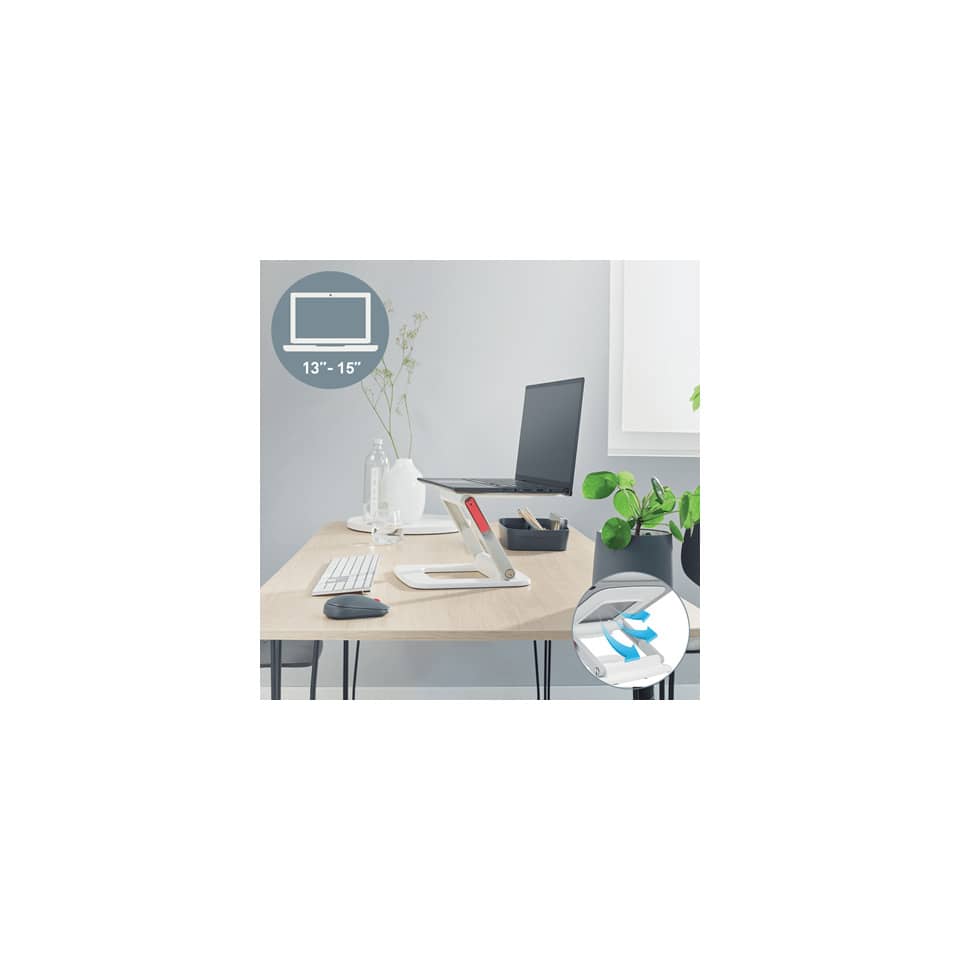 Schreibtisch, Laptop, Monitor, Tisch-Organizer, Pflanze