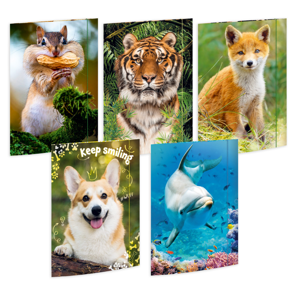 wildlife, tiere, collage, fotos, rahmenpaneele