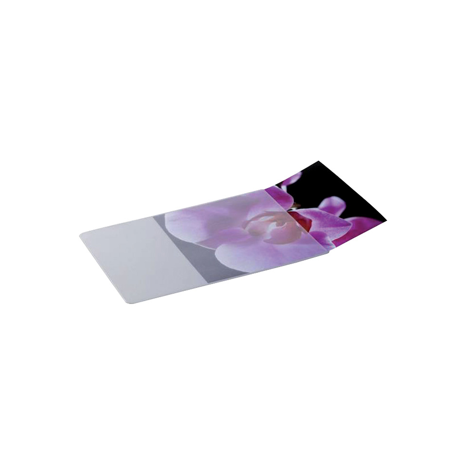 Anzeige, Orchidee, Rosa, Lila, rechteckige Karte