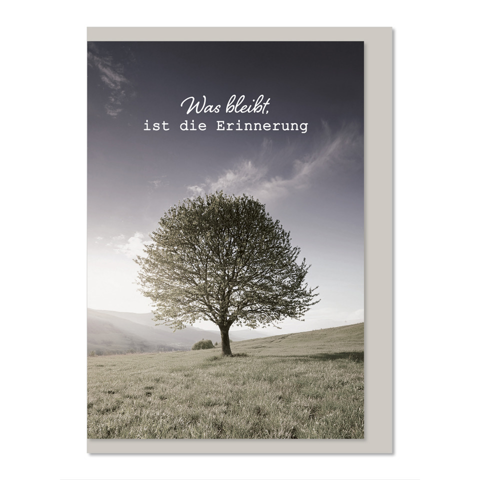 Baum, einzelner Baum, Landschaft, Feld, Poster/Text